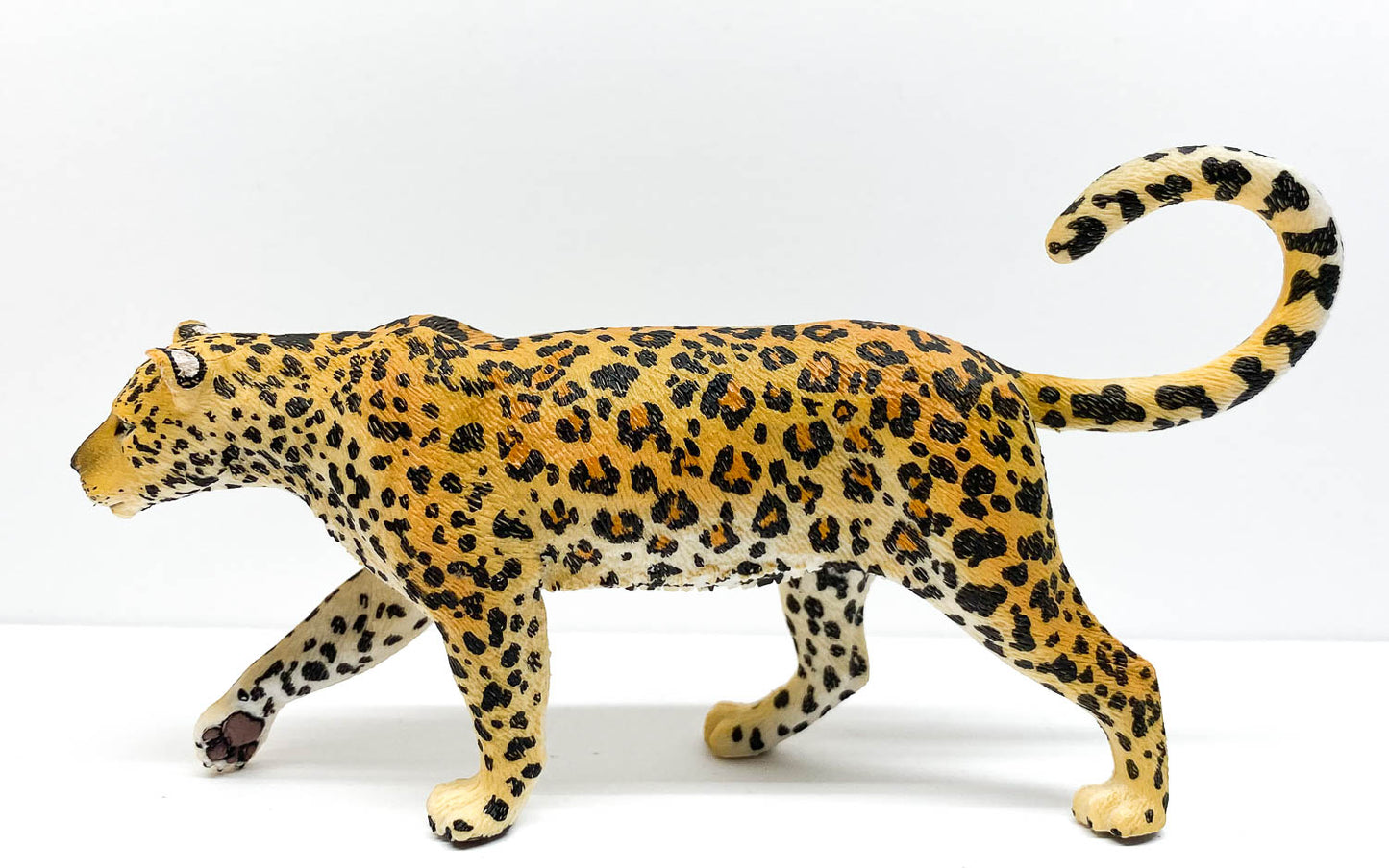 CollectA - Atticus the African Leopard – The Creative Toy Shop