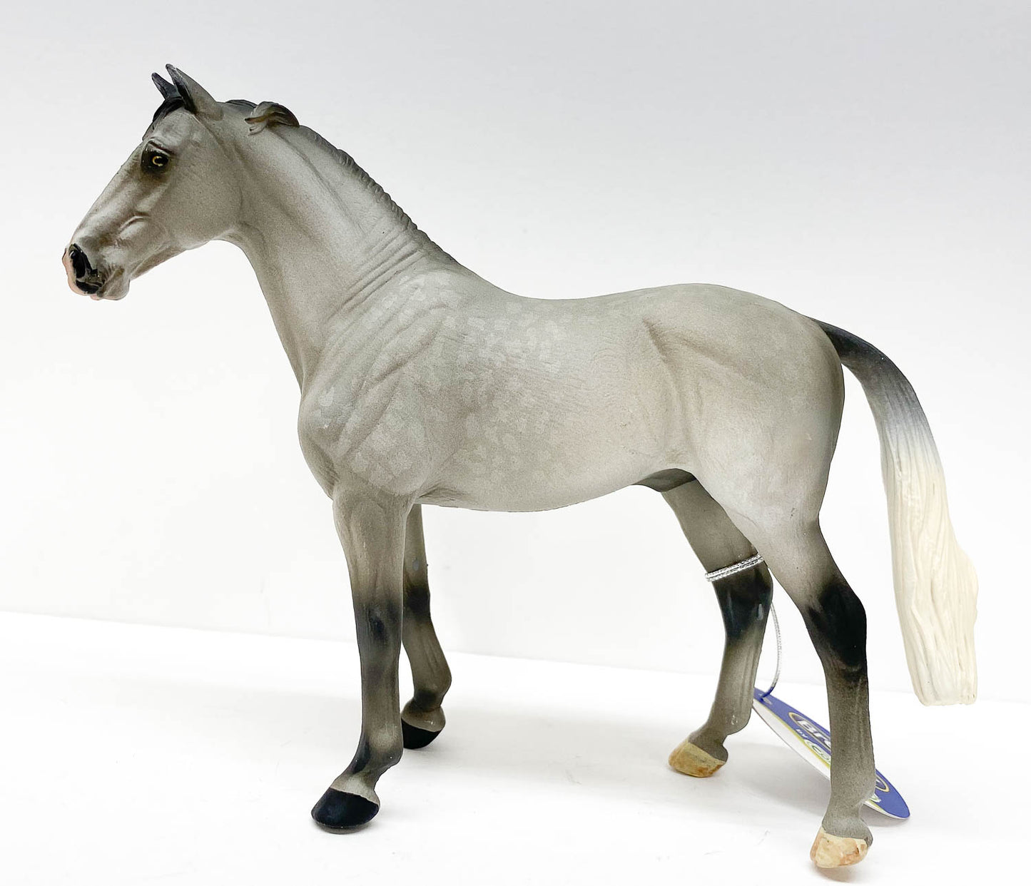 Hanoverian Stallion, Dapple Grey