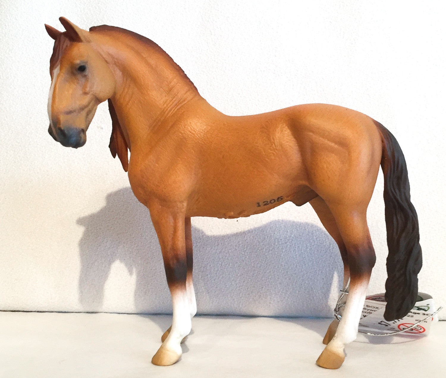 Campolina Stallion, Red Dun - triple-mountain