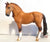 Campolina Stallion, Red Dun - triple-mountain