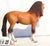 Campolina Stallion, Red Dun - triple-mountain