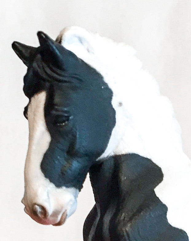 Gypsy Foal, Black Pinto