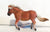 Shetland Pony, Chestnut (International Release)