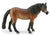 Exmoor Pony Stallion