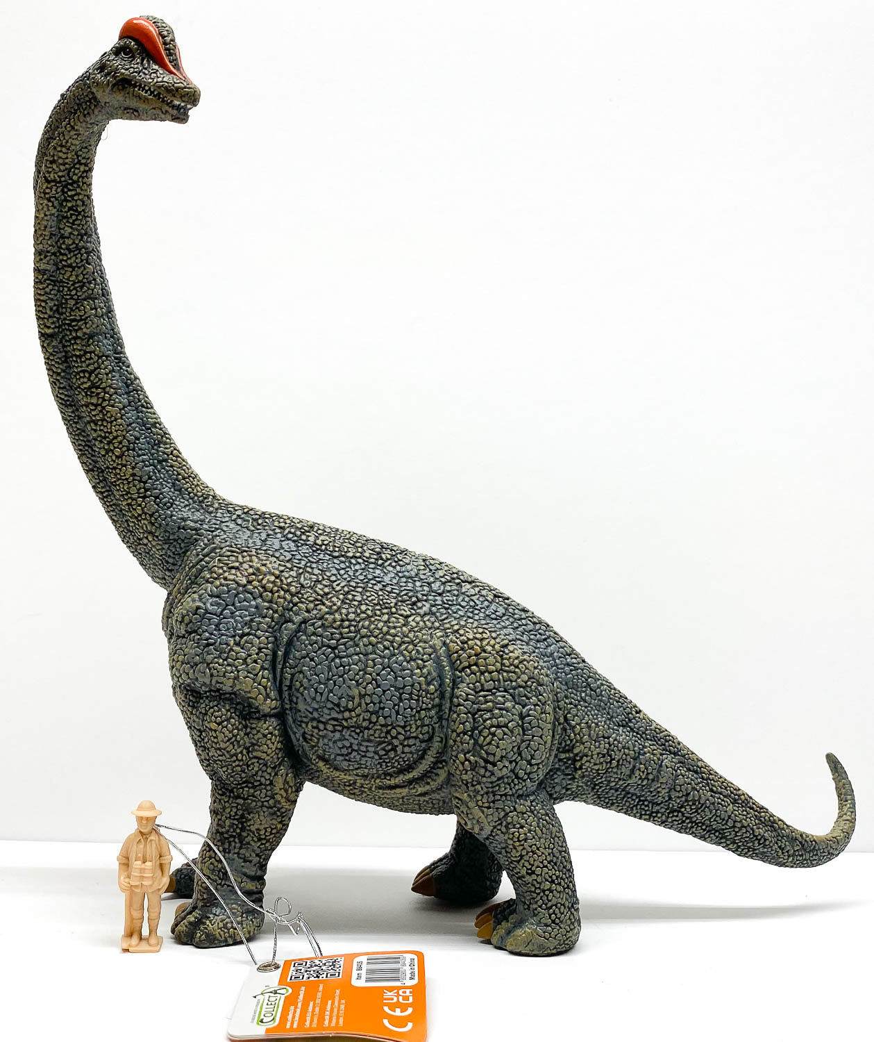Brachiosaurus - Deluxe 1:40 scale