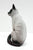 Siamese Cat ~ Saizeriya