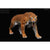 Smilodon ~ Stray Cat, Year of the Tiger Ltd Ed. - REBOR