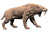 Smilodon ~ Stray Cat, Plains Version - REBOR Museum Class Replicas