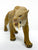 Smilodon ~ Stray Cat, Plains Version - REBOR Museum Class Replicas