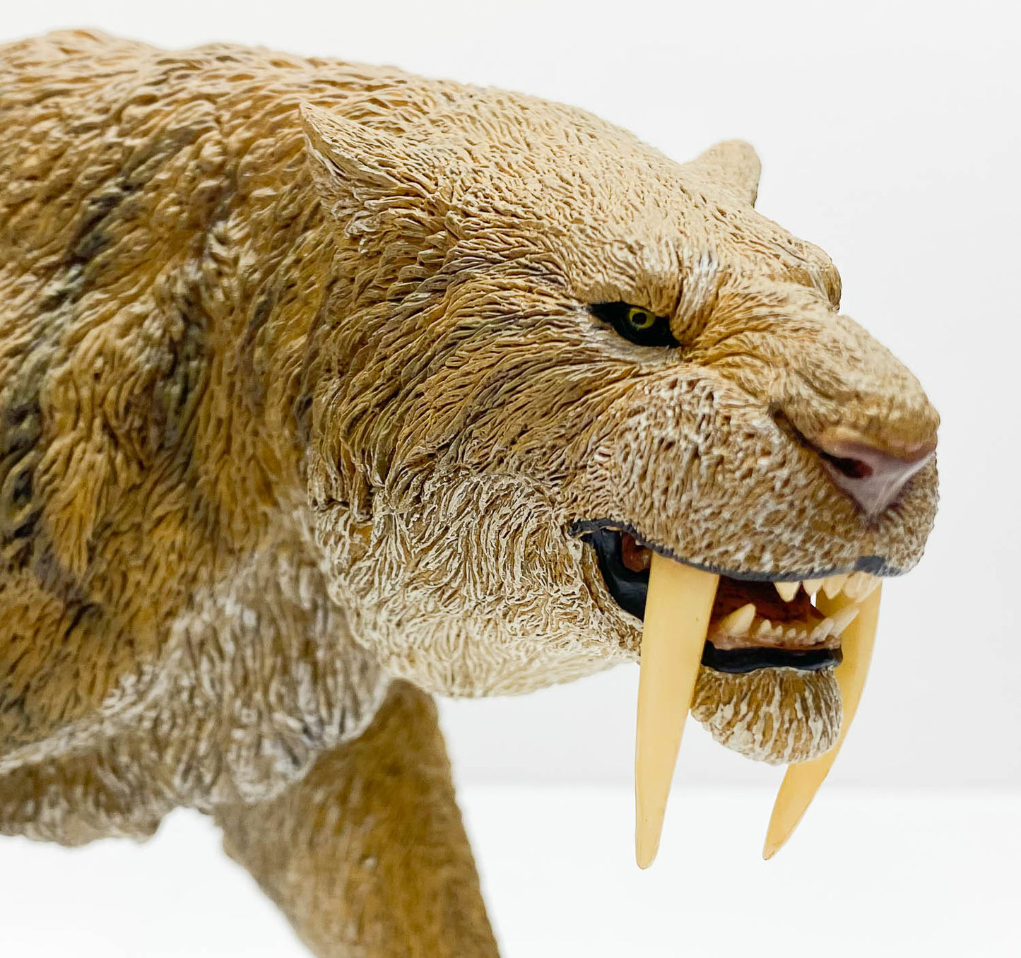 Smilodon ~ Stray Cat, Plains Version - REBOR Museum Class Replicas