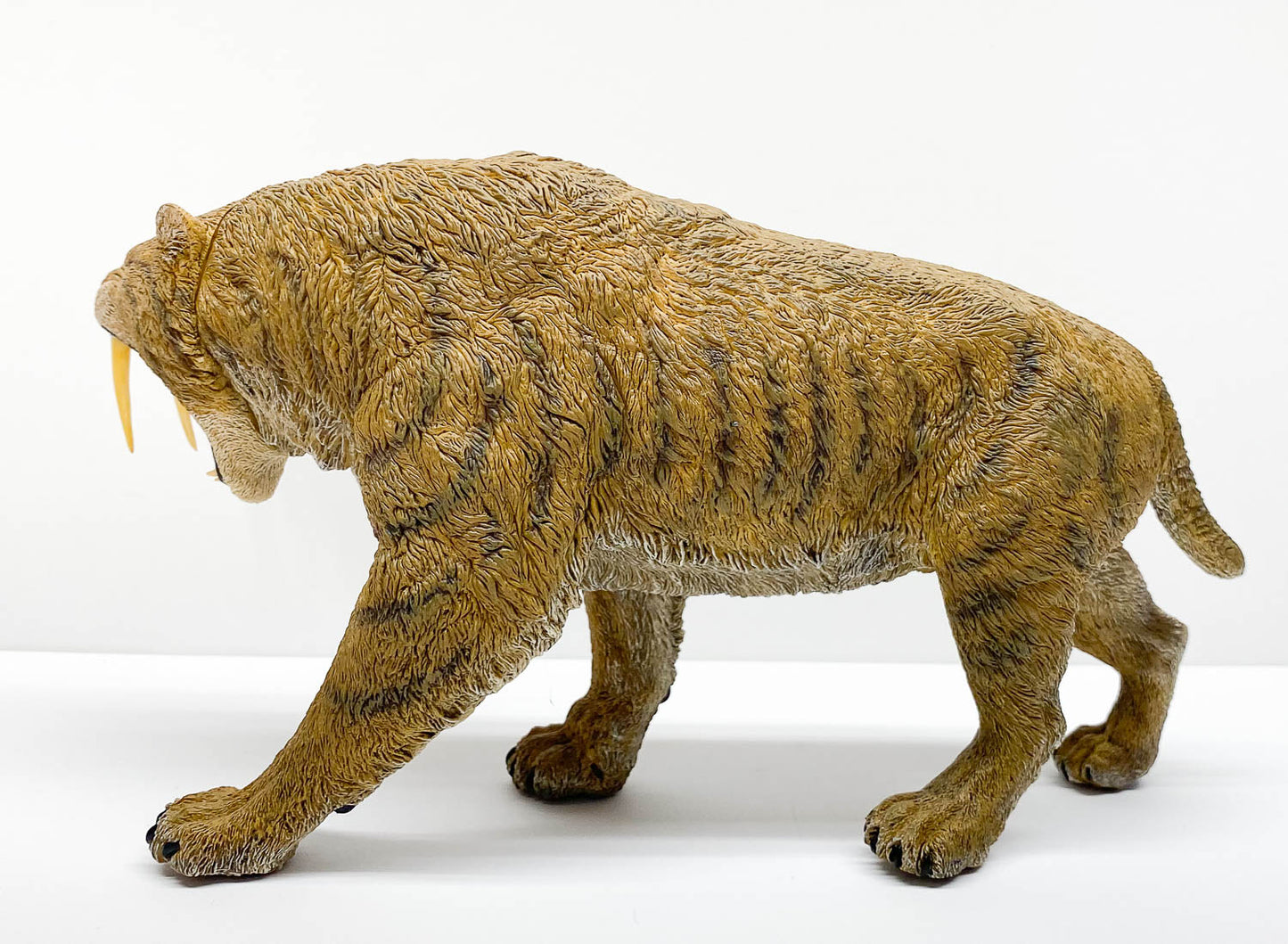 Smilodon ~ Stray Cat, Plains Version - REBOR Museum Class Replicas