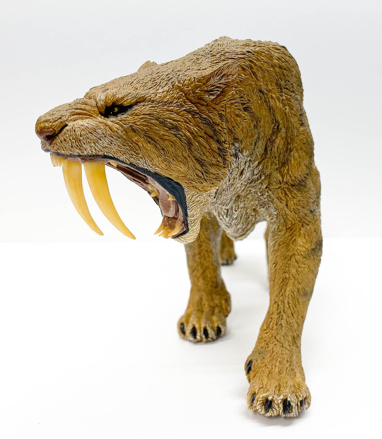 Smilodon ~ Stray Cat, Plains Version - REBOR Museum Class Replicas