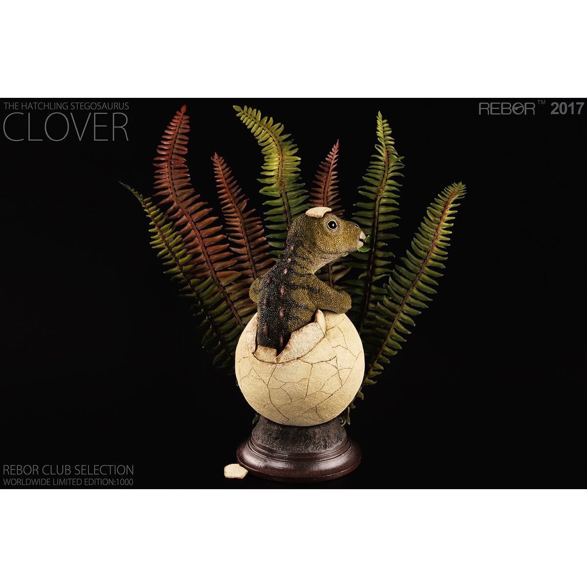 Stegosaurus Hatchling ~ Clover - REBOR Club Selection - Ltd Ed