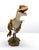 Velociraptor ~ Sweeney - REBOR Museum Class Replicas