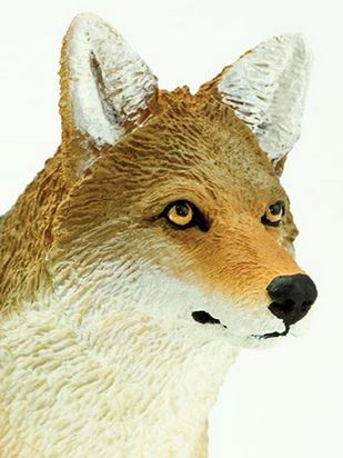 Coyote (Large)