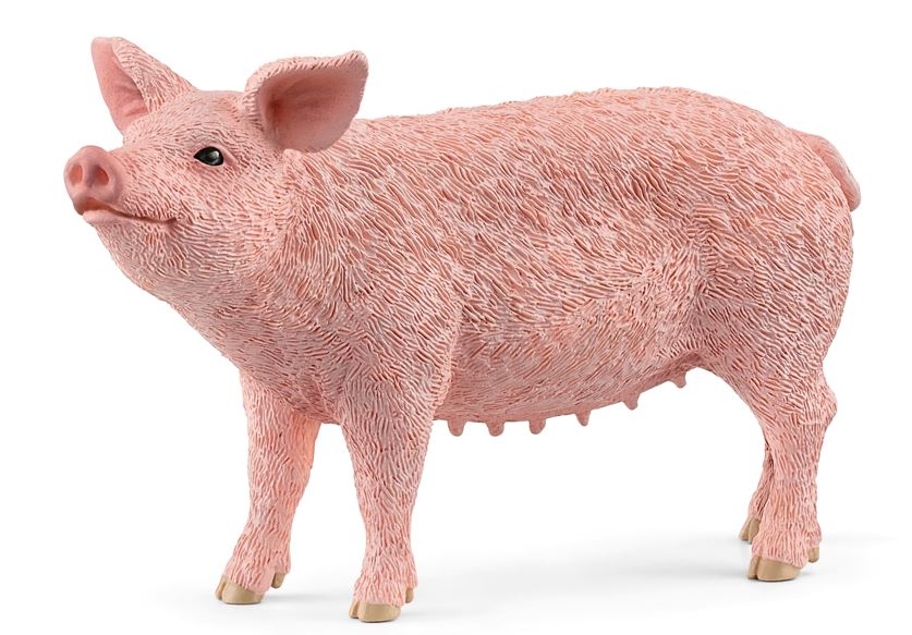 Pig, Pink Sow