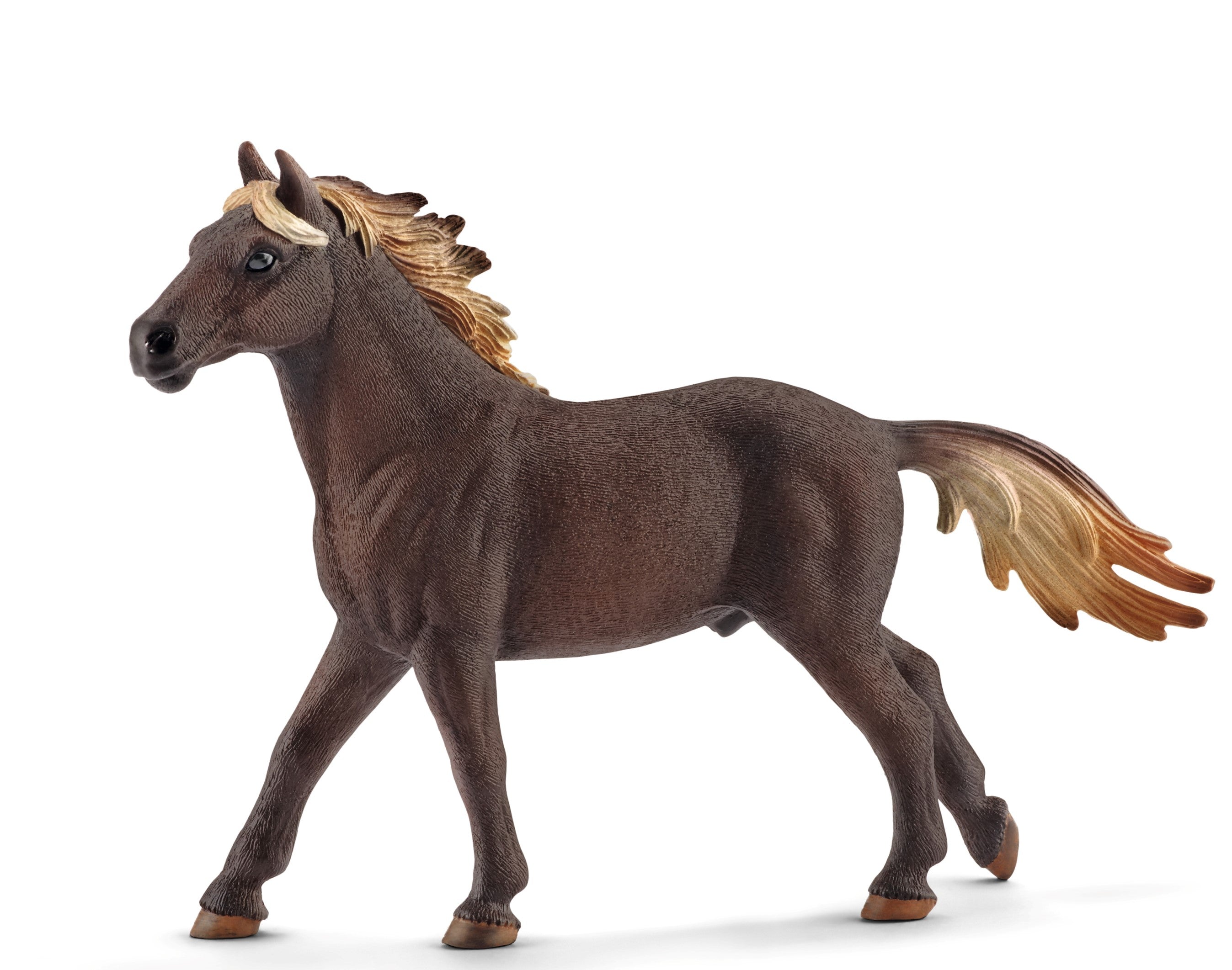 Mustang Stallion, Liver Chestnut