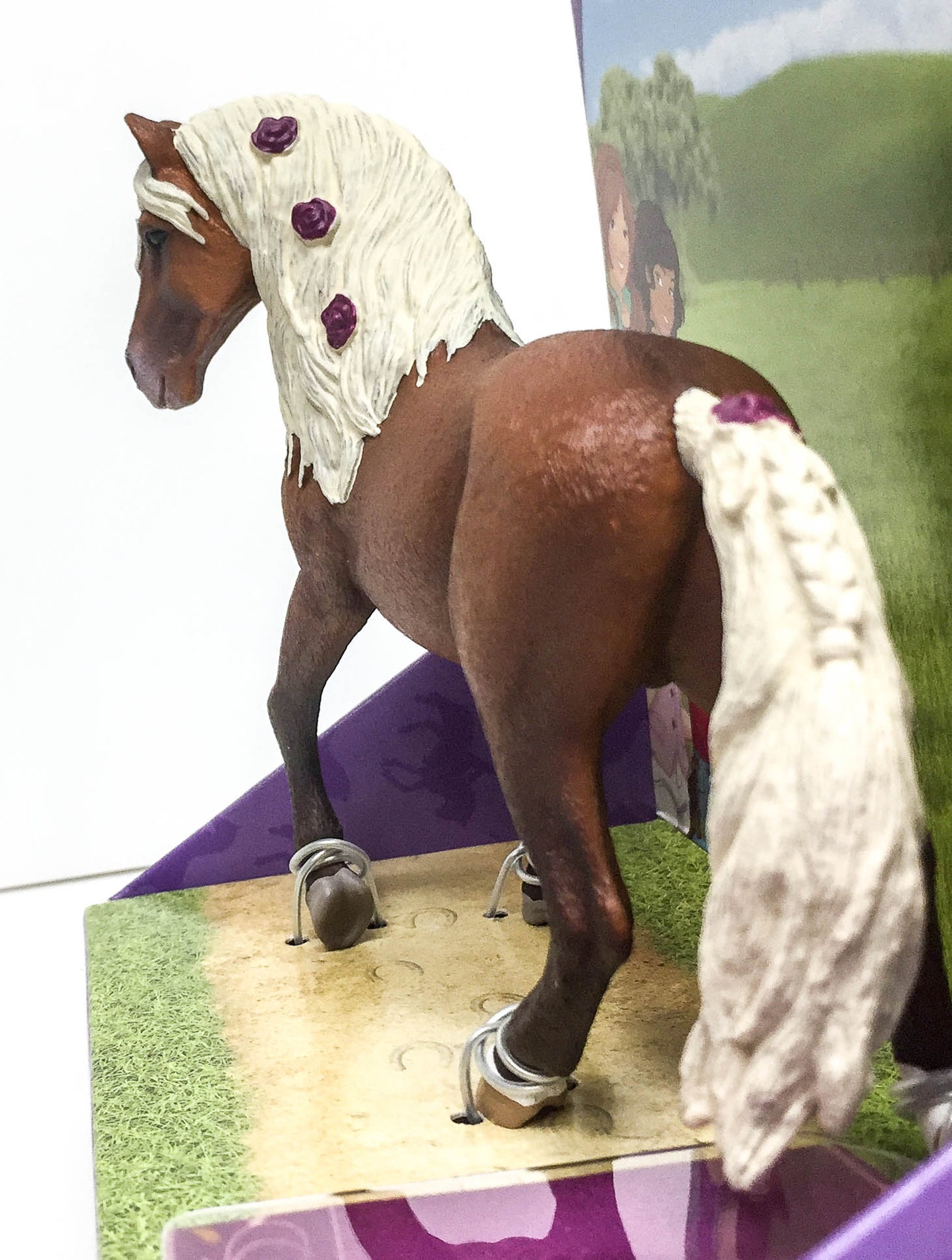 Paso Fino Stallion Horse Show Set