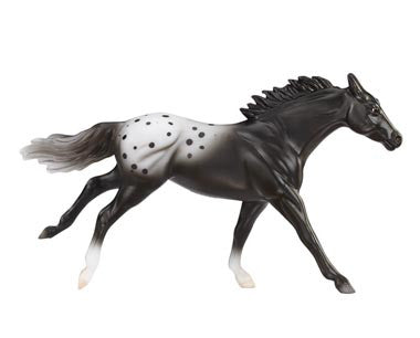 Thoroughbred ~ Appaloosa Sport Horse, Black Blanket Appy