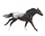 Thoroughbred ~ Appaloosa Sport Horse, Black Blanket Appy