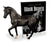 Warmblood Stallion ~ Black Beauty and Book Set