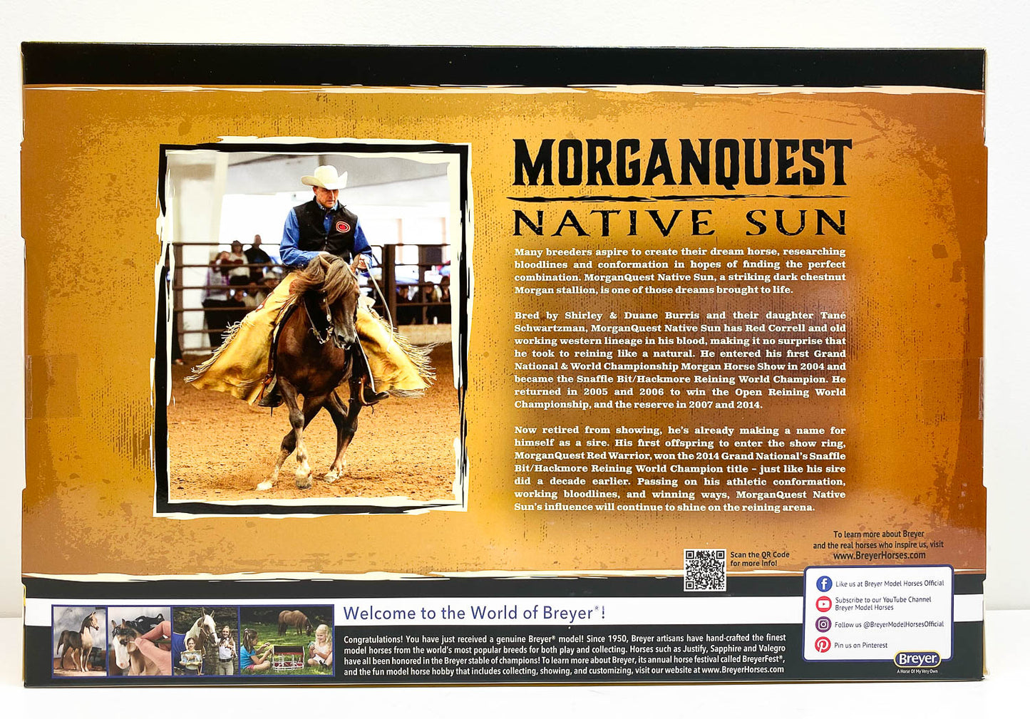 Foundation Morgan ~ MorganQuest Native Sun