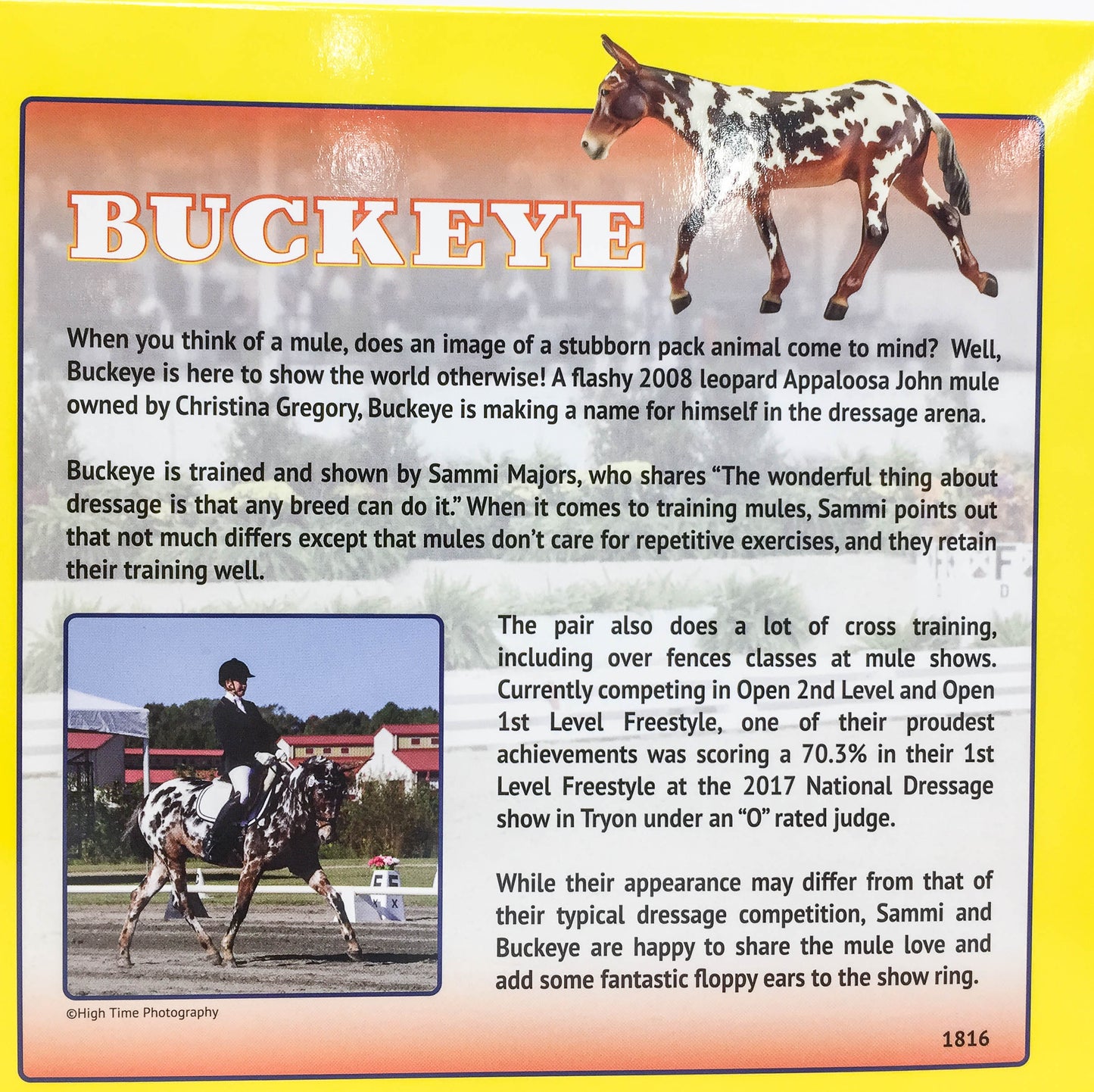Walking Mule ~ Buckeye