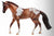 Stock Horse Gelding, Red Dun Pintaloosa