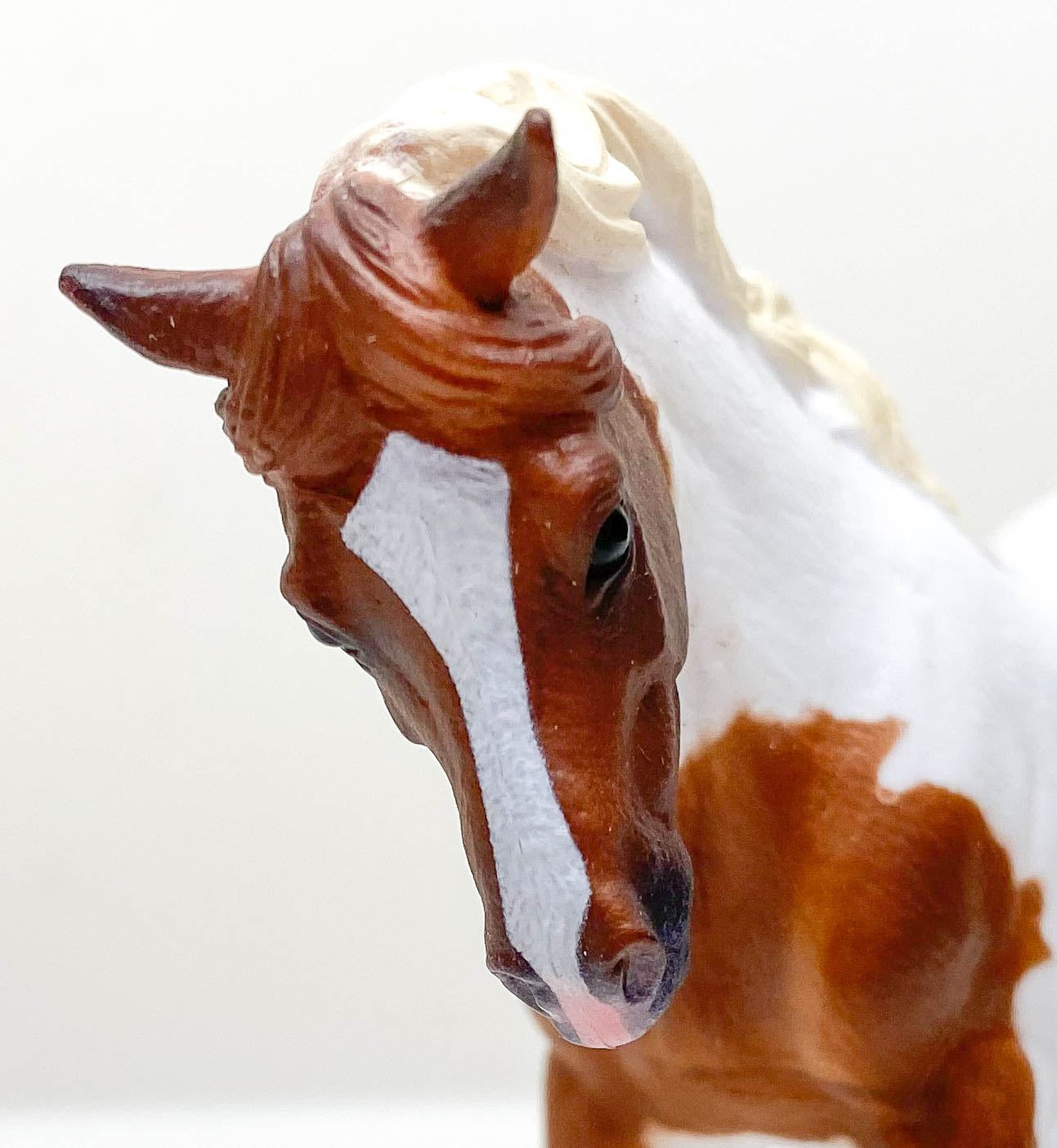 Chincoteague Pony, Chestnut Pinto