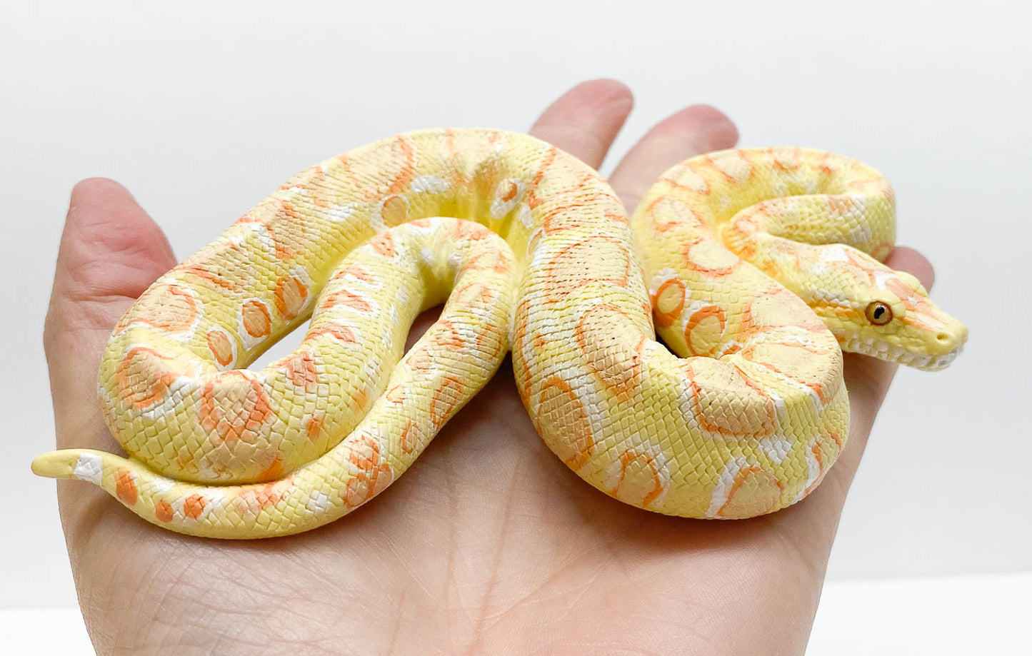 Safari Albino Brumese Python – Triple Mountain Model Horses