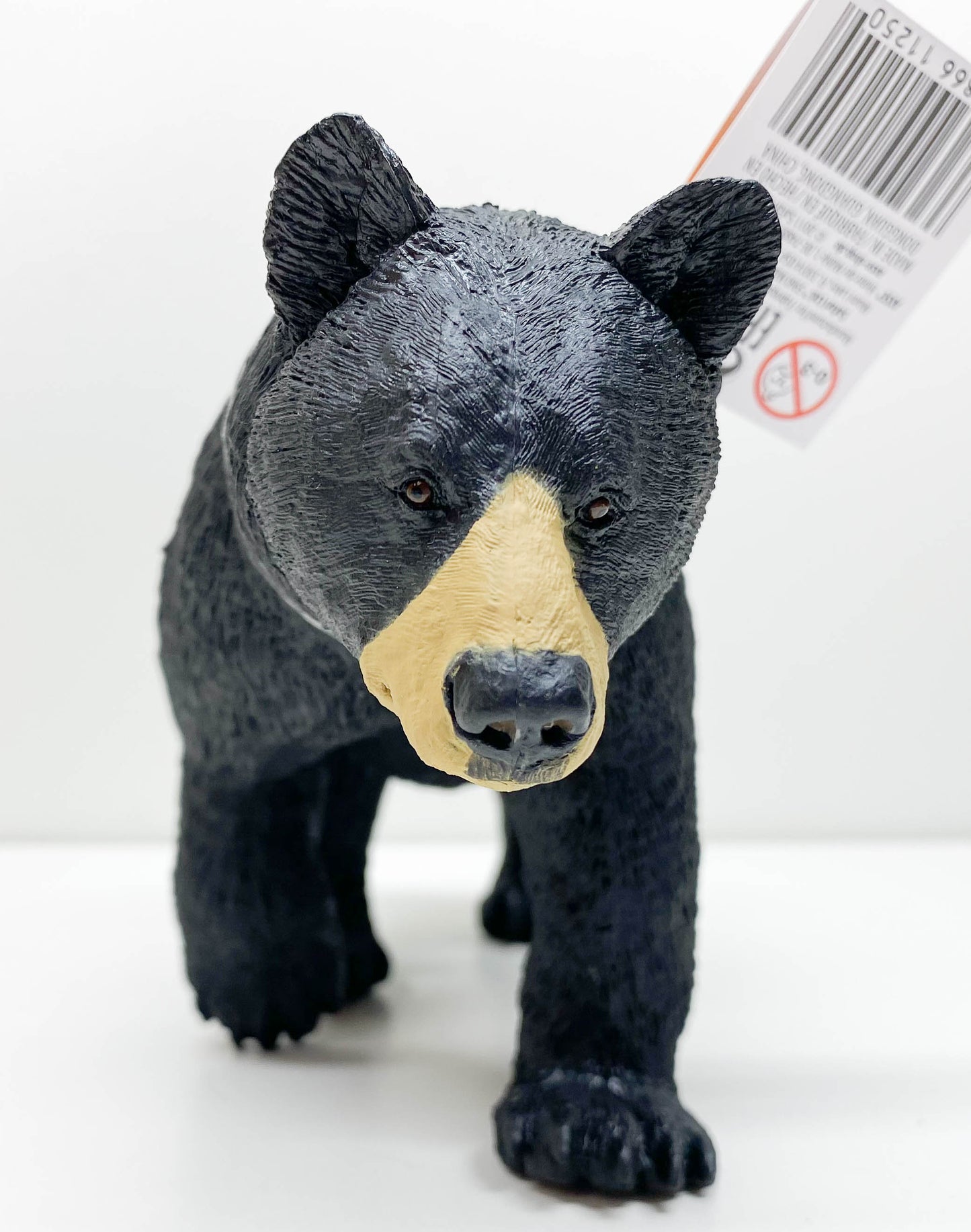 Black Bear (Large)