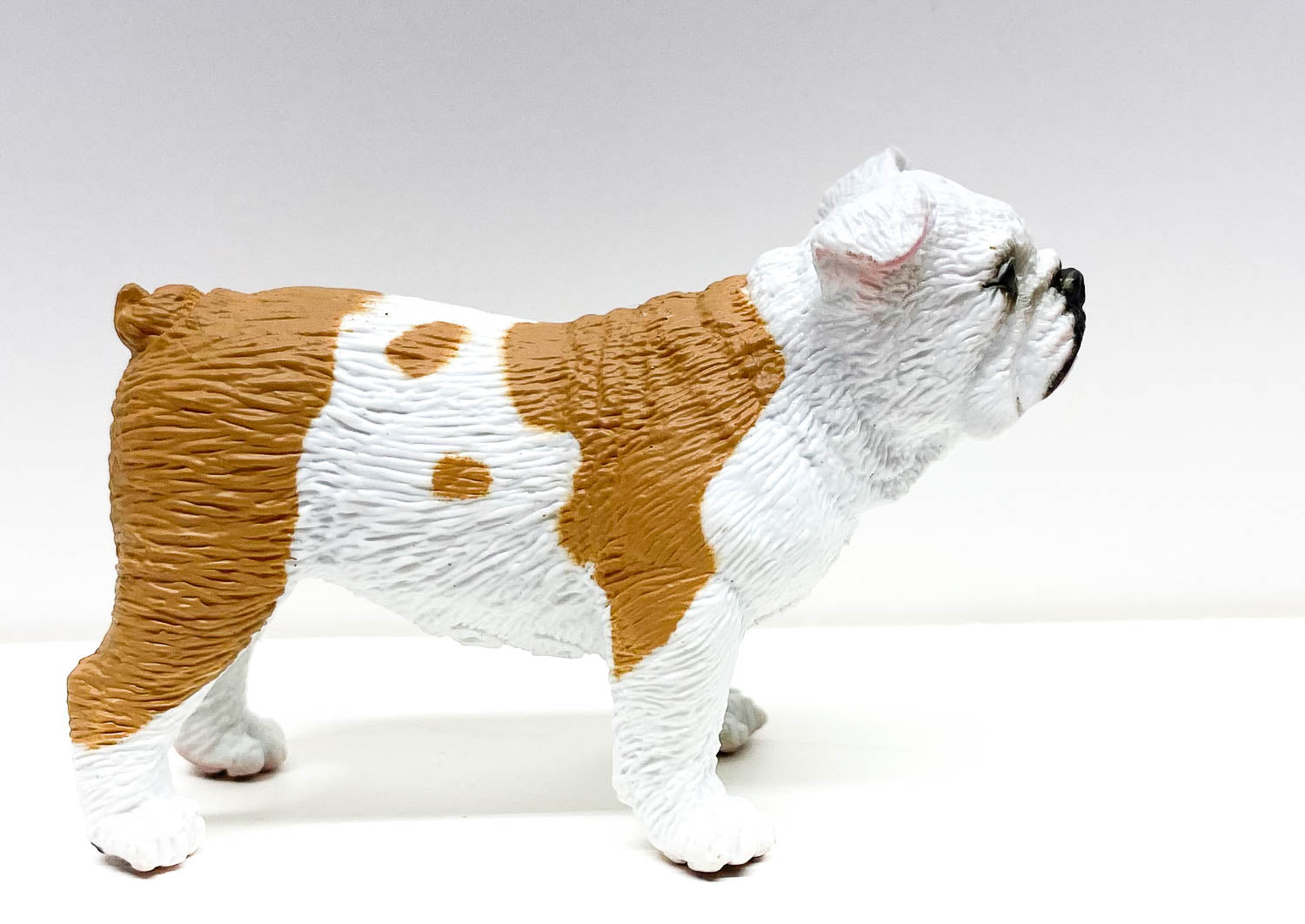 https://triplemountain.com/cdn/shop/products/safaribulldog_1.jpg?v=1606841127