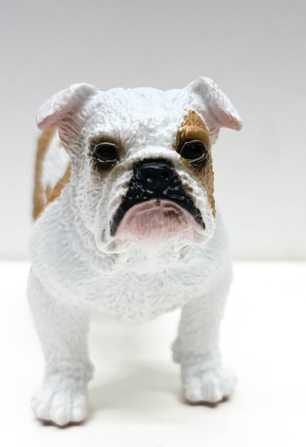 Safari French Bulldog Toy