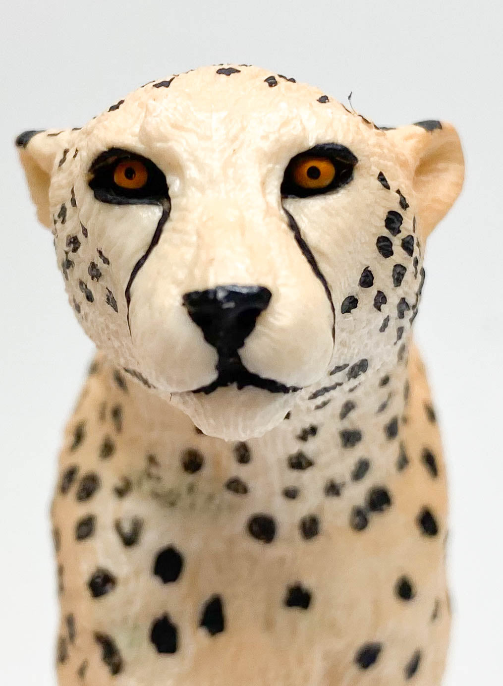 Cheetah (Large)