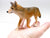Coyote (Large)