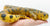 Green Anaconda (Large)