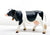Holstein Cow with Bell