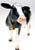 Holstein Cow with Bell