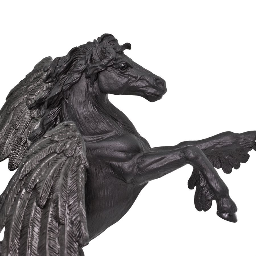 Medicos - Black Pegasus Medicos - Saint Seiya France Medicos - Black Pegasus Medicos - Saint Seiya France