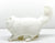 Persian Cat, White