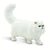 Persian Cat, White