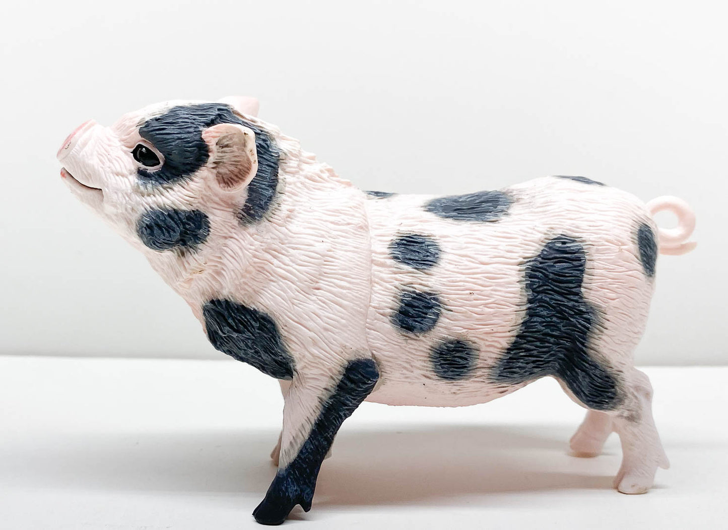 Pot-Bellied Pig (Large)