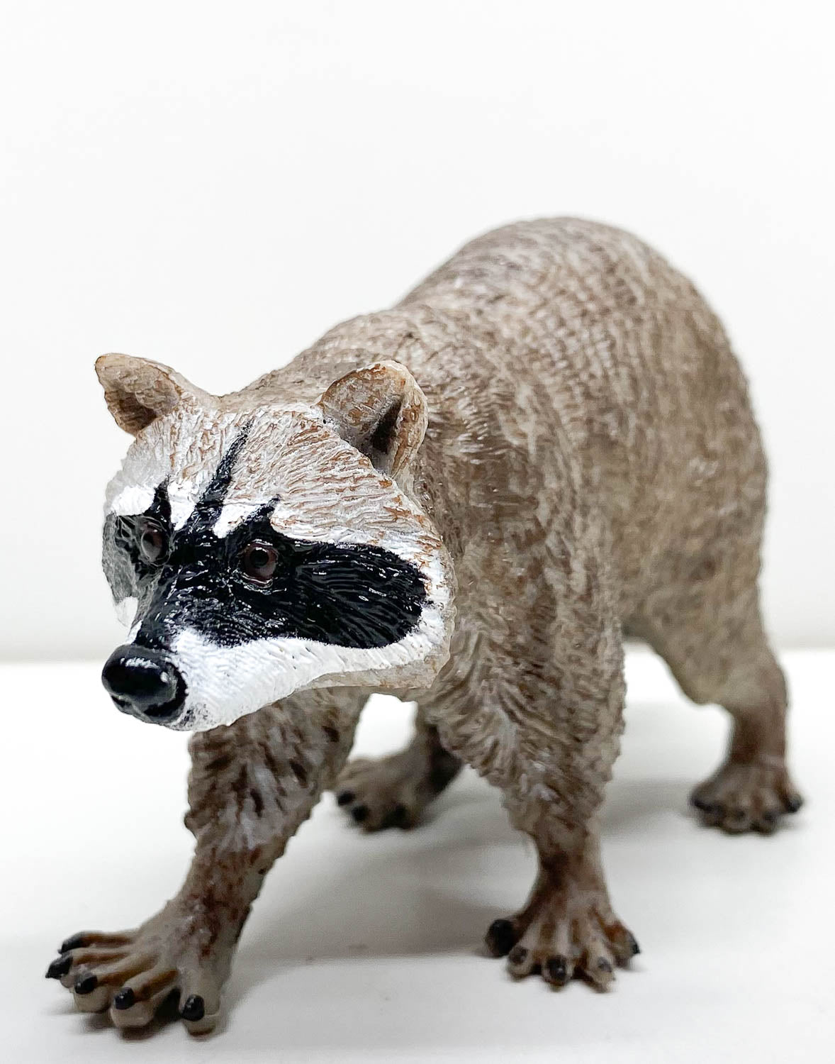 Safari Raccoon – Triple Mountain Model Horses