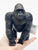Silverback Gorilla (Large)