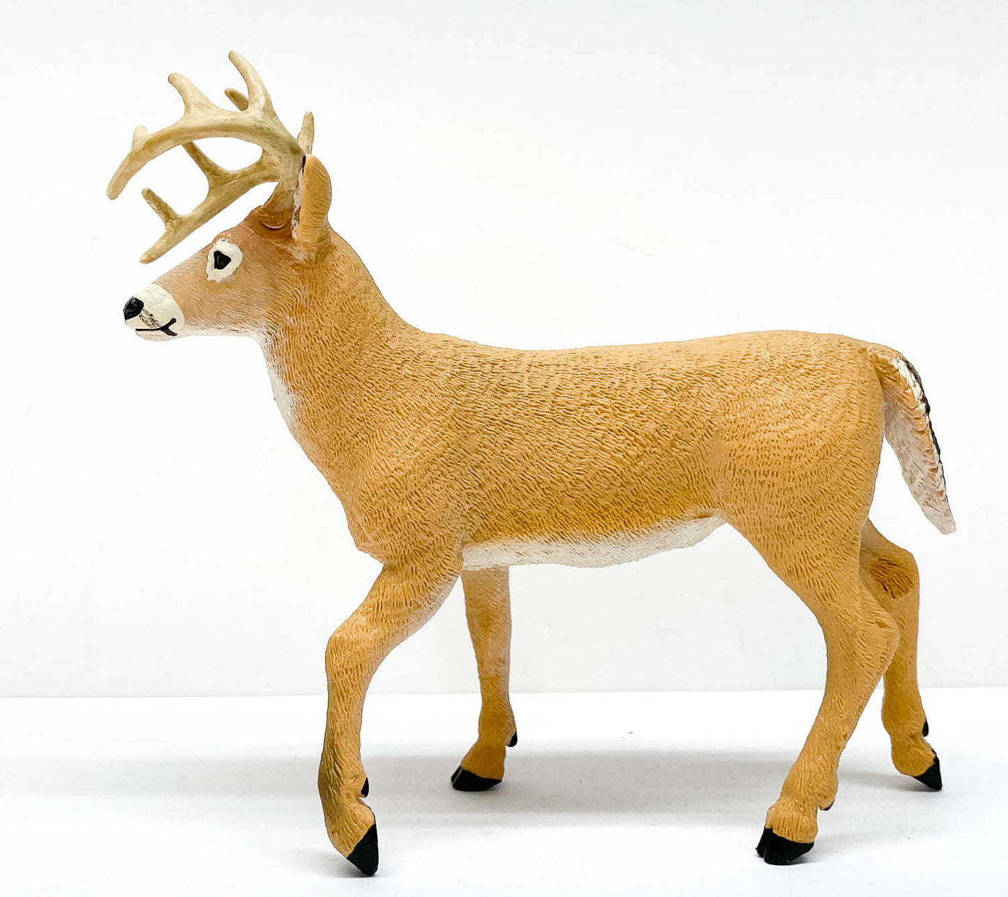 Whitetail Deer Buck (Large)