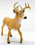 Whitetail Deer Buck (Large)