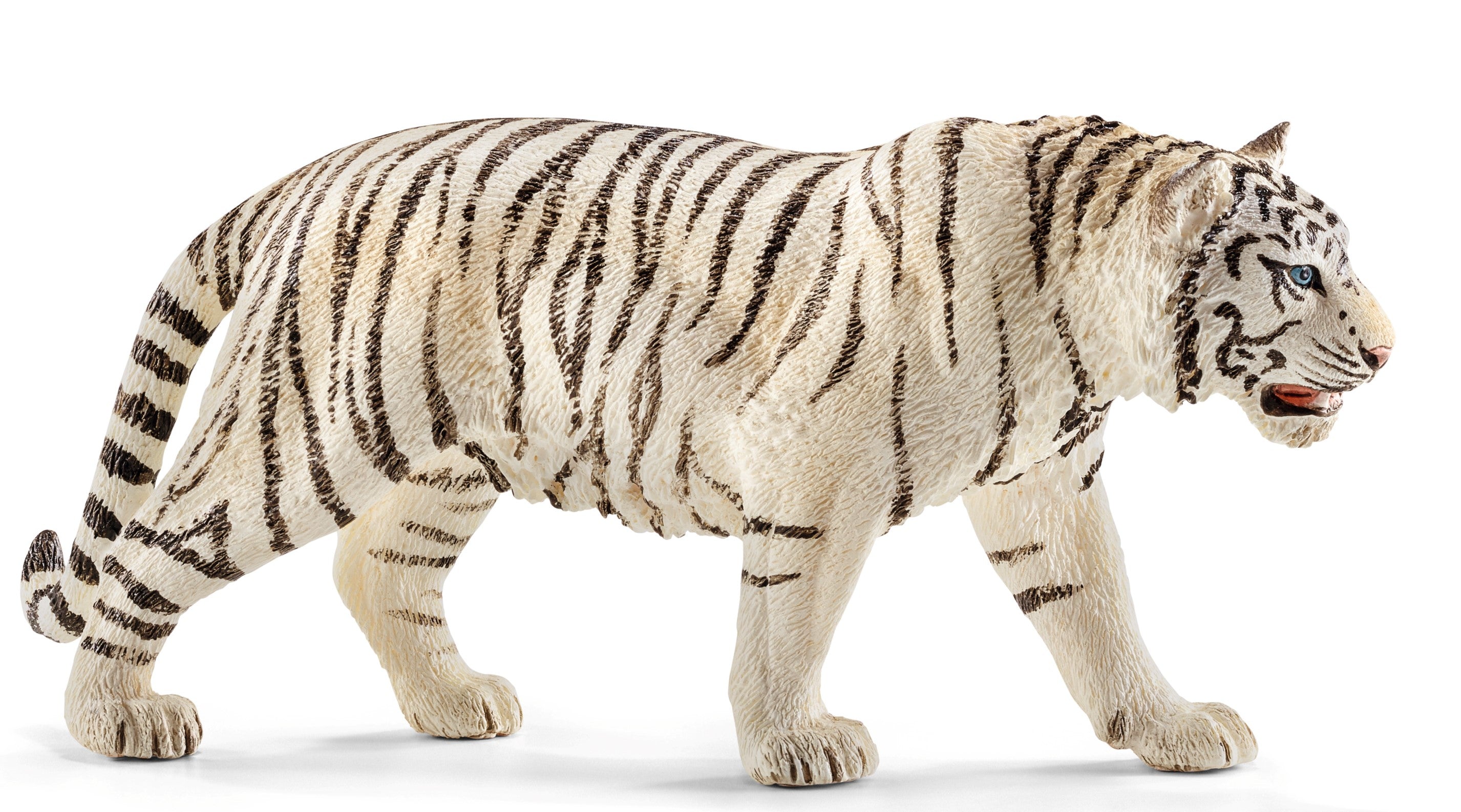 Tiger, White Bengal