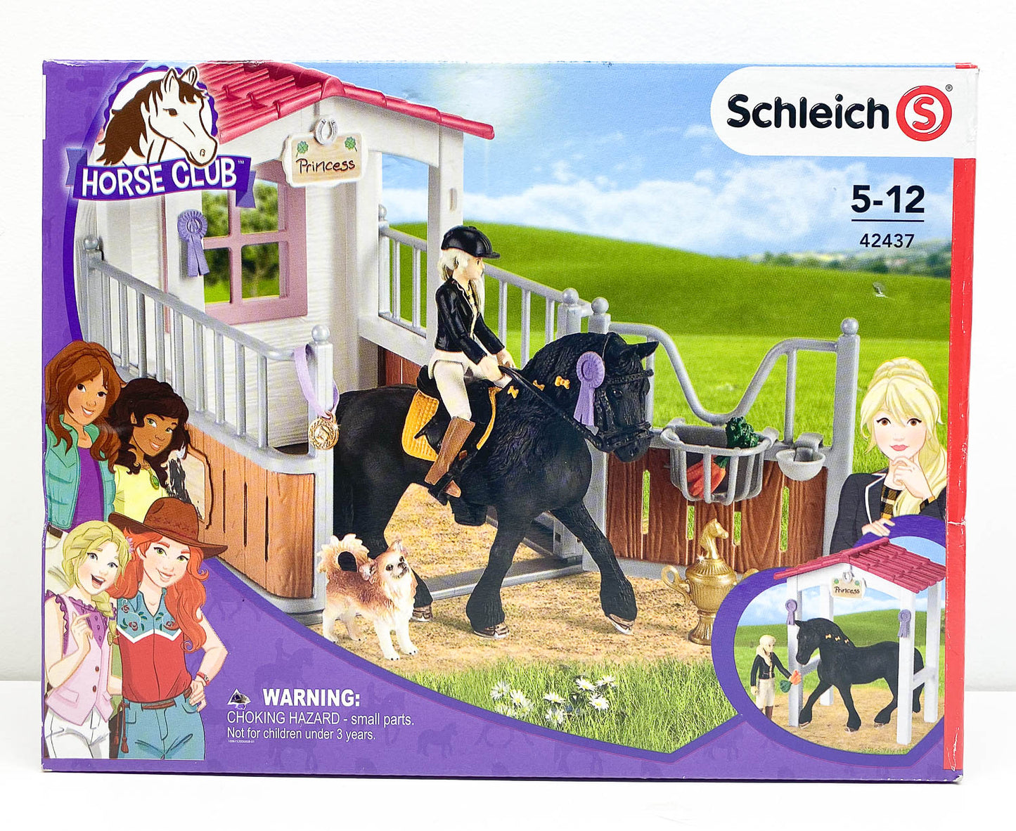 Horse Stall with Tori & Princess - Horse Club