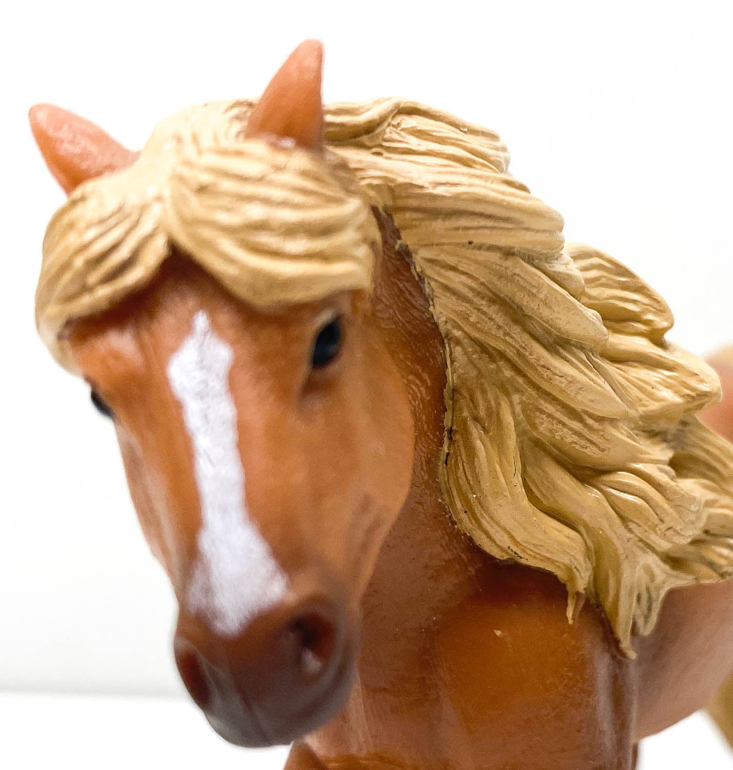 Icelandic Pony Stallion, Chestnut