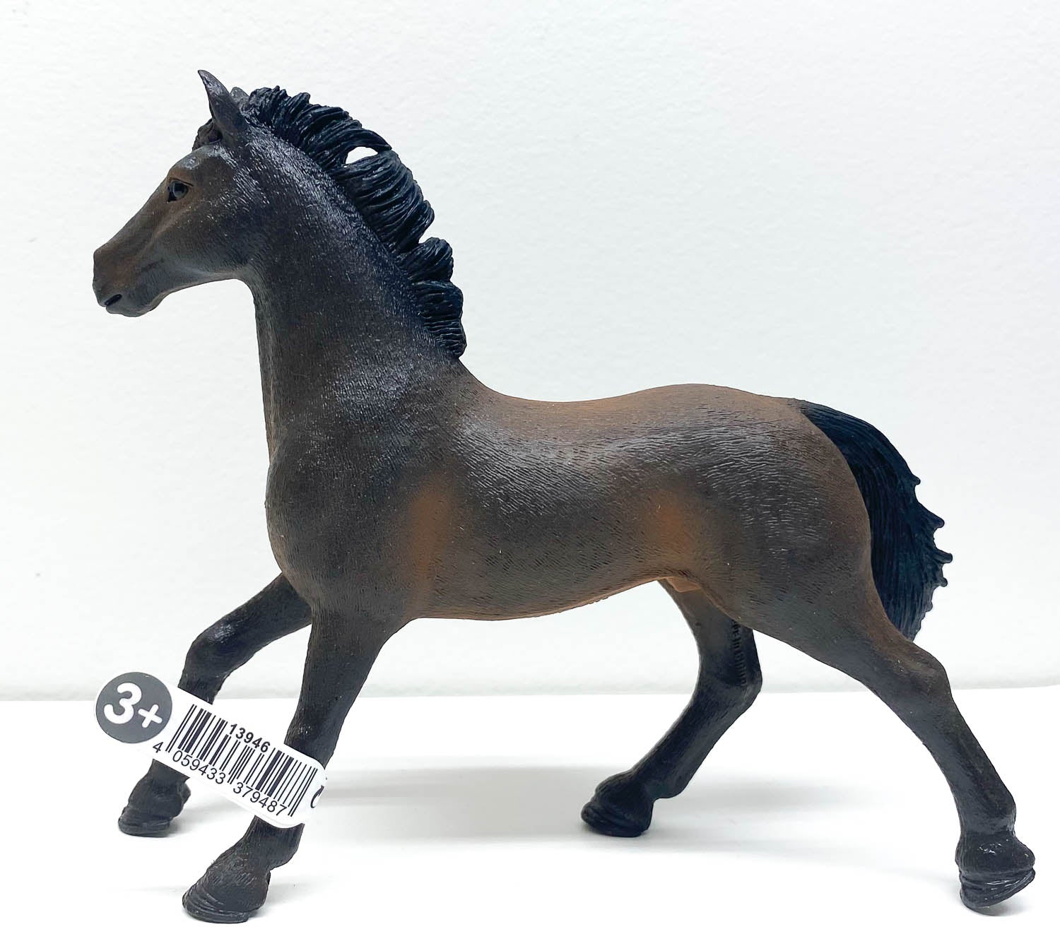 Oldenburg Stallion, Bay